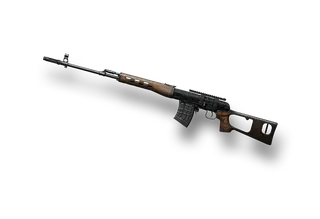 Dragunov 총기 이미지
