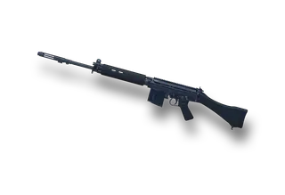 SLR 총기 이미지